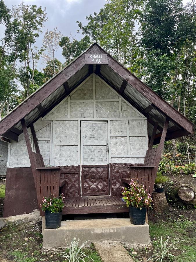 Roca'S Homestay Backpackers Chalet Batuan Exterior photo